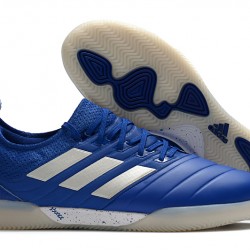 Kopačky Adidas Copa 20.1 IN Modrý Šedá 39-45