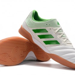 Kopačky Adidas Copa 20.1 IN Bílá Zelená 39-45